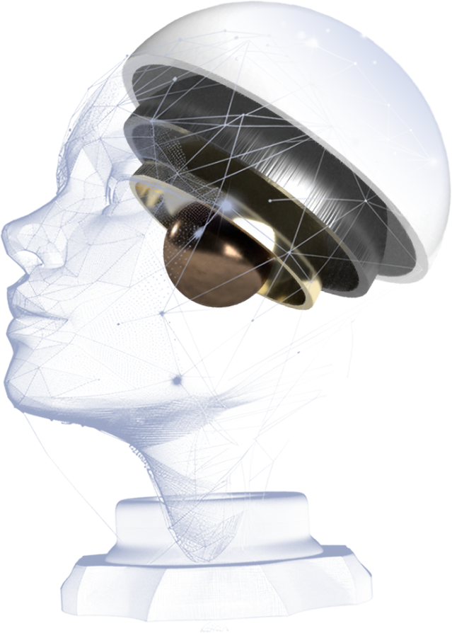 A data-driven brain illustration